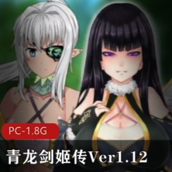 虎牙宅男圈超火高品质奇幻【国产RPG-中文】《青龙剑姬传Ver1.12》_精修汉化作弊版【PC-安卓-1.8G】